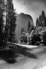 Light Through the trees in Yosemite National Park