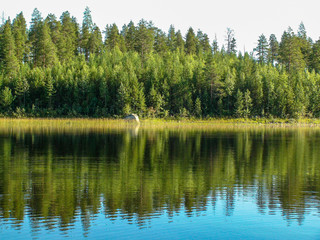 Fototapeta na wymiar Reflection of a green forest in the water of a quiet lake in the morning