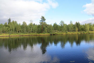 Fototapeta premium Forest on the lake and the reflection of clouds in the water