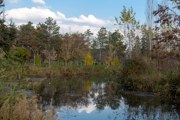 Obraz premium an autumn landscape