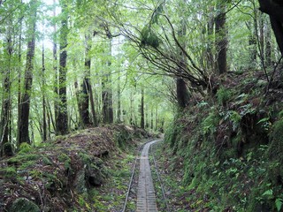 YAKUSHIMA