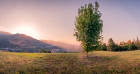 Fototapeta premium Amazing Landscape with beautiful tree and sky