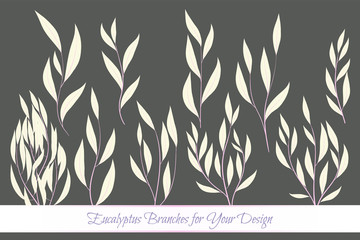Rustic Decorative Plants Collection. Hand Drawn Eucalyptus Leaves Isolated. Vector EPS10 Illustration. Botanical Elements. Exotic Tropical Foliage and Flowers. Decorative Plants Set for Wedding Design