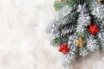 Christmas background with branch of tree 