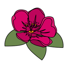 cute flower with leafs decorative