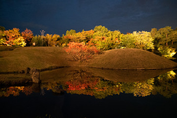 梅小路公園の紅葉