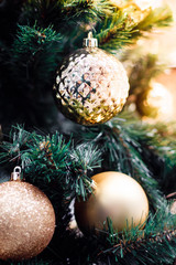 Shiny gold christmas balls on white with pine tree for new year