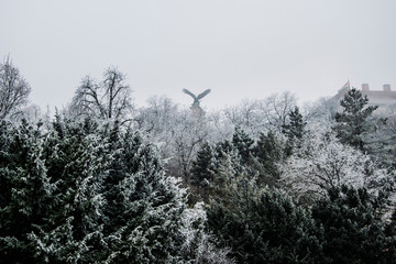 The Hungarian Turul under a foggy and frozen day. The legendary defender of Hungary.
