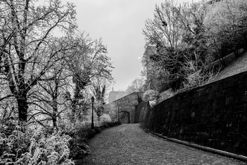 mystical frozen landscape on a foggy day in Budapest, Hungary
