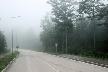 Road fog mist mountain forest park 