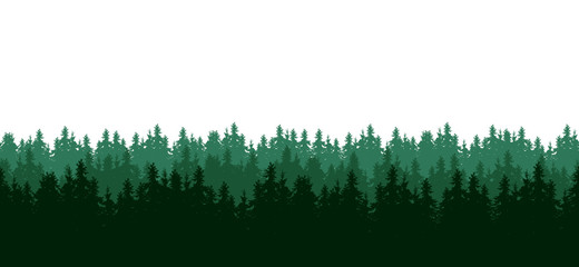 Realistic seamless illustration of silhouettes of green coniferous spruce or fir forest, isolated on white background © Forgem