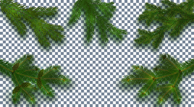 Christmas, New Year. Set Realistic green tree branch and its shadow. Against the background of the checkered. illustration