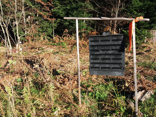 Box with insect pheromones in the forest, trap for great spruce bark beetle