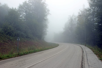 Road fog mist mountain forest park 