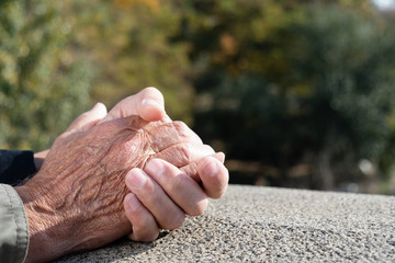 young man holding the hand of an old man