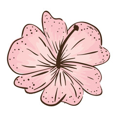 cute flower decorative icon