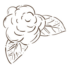 cute flower with leafs decorative