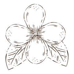 cute flower with leafs decorative