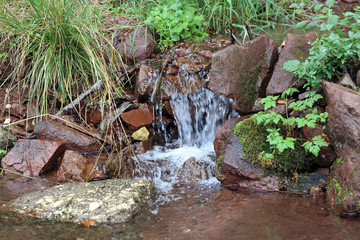 Mountain spring forest woods old mountain stara planina sopur serbia