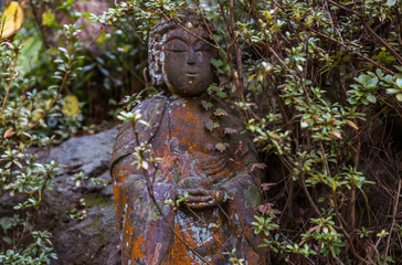 Fototapeta na wymiar Stone statue of Buddha in the thickets of trees close-up