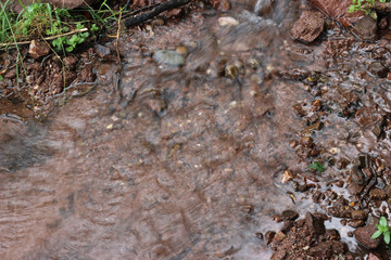 Water surface mountain spring forest woods stara planina sopur serbia