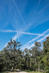 I do not like the airplanes, but the design of the contrail good photo theme