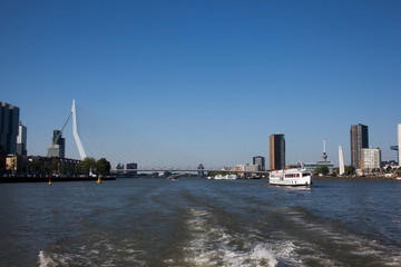 Fototapeta na wymiar Cityscape of modern Rotterdam with river