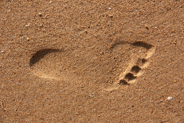 Fototapeta na wymiar a footprint in the sand shot close-up