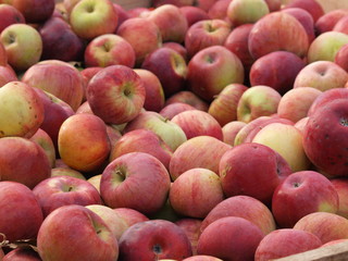 Red apples at the farm stand fill the frame