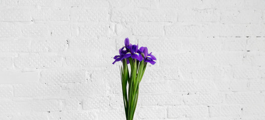 Bouquet of flowers iris on white brick