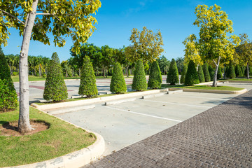Empty space in city park outdoor concrete parking lot area with blue sky in summer season. Green nature gardening in car parking lot. Friendly environmental and transportation concept. © pla2na