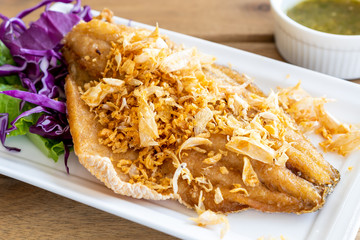 Fried Snapper Fish Fillet with Garlic