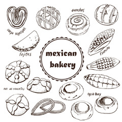 Mexican bakery , sketch doodle . Conchas hand drawn illustration. Can be used for a menu of Mexican cuisine. vintage pattern design, banner.