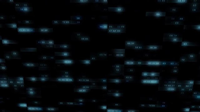 Animated Computer Digits Hex 12