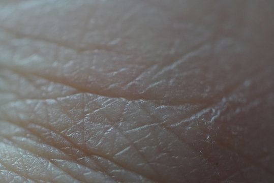 Human skin super macro texture object background