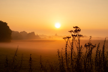 Mystischer Sonnenaufgang - Nebel im September	 - 235150789