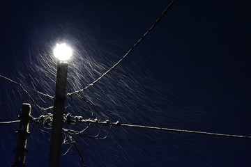 Winter street lamp during a snowfall.