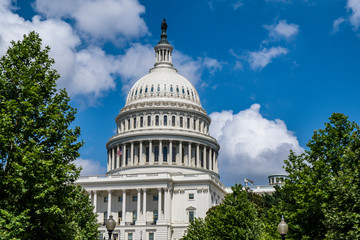 Detail of Capitol building Washington DC USA
