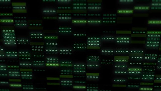 Animated Computer Digits Hex 17