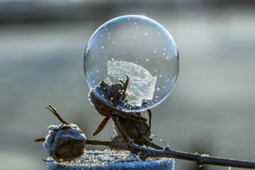 Gefrorene Seifenblasen im Morgenlicht