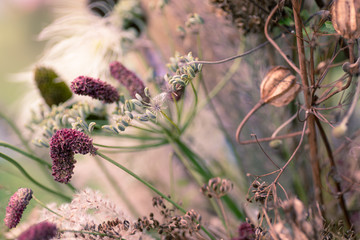 Herbstblumen, florales Tisch Dekor