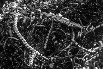 scrap, metal, patern, curls,