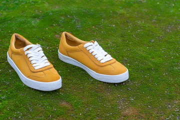  Yellow sneakers stand on green grass
