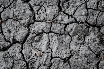 dry ground background