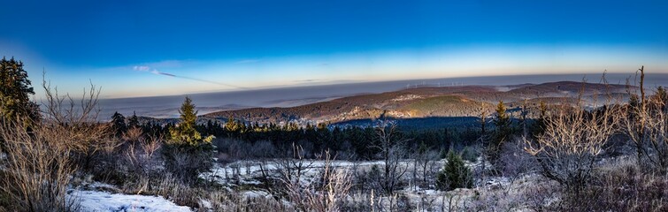 sunrise in early morning in the forest with bright sunbeam