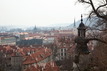 Fototapeta premium Autumn view of Prague through the bare branches of a tree