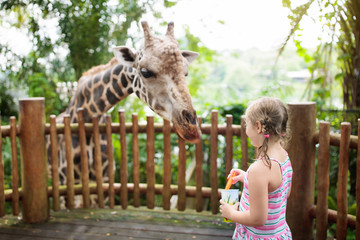 Kids feed giraffe at zoo. Children at safari park.