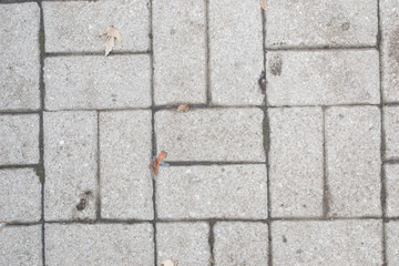 The texture of paving slabs