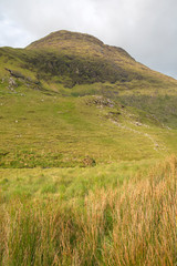 Fototapeta na wymiar Peak at Kylemore; Connemara National Park