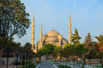 Fototapeta na wymiar Blue Mosque in Istanbul at sunrise. Turkey